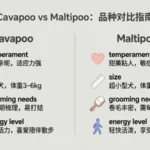 cavapoo vs maltipoo
