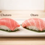 chutoro vs otoro