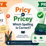 pricy or pricey