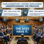 ayes meaning