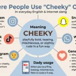 cheeky meaning