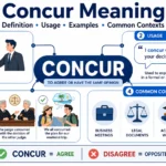 concur meaning