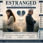 estranged meaning