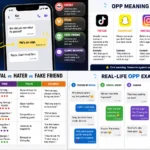 opp meaning