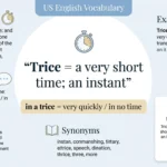 trice meaning