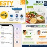 zesty meaning