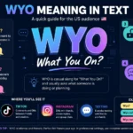 Wyo meaning in text