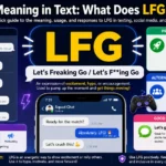lfg meaning in text