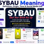 sybau meaning