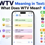 wtv meaning in text
