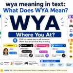 wya meaning in text