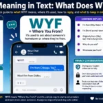 wyf meaning in text