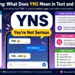 yns meaning